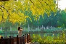 91国产麻豆精品-XX国产麻豆精品，现实与艺术的融合探微