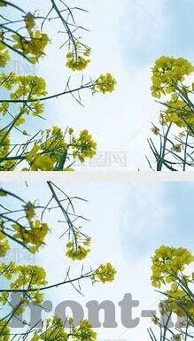 大象传媒最新视频在线观看-探索大象传媒最新视频的精彩瞬间