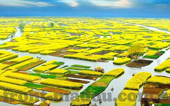 麻豆传媒合作app-重塑数字娱乐新生态——麻豆传媒合作APP的深度评析