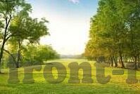 日本高清不卡中文字幕免费-探索高清影视的无限魅力，日本影片的流畅体验