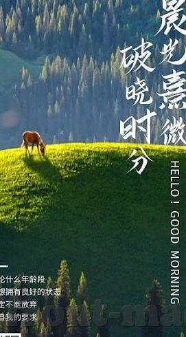 日韩电影中文字幕-探索日韩电影中文字幕的魅力与影响