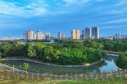 台湾麻豆传媒app-无法回避的现实，台湾麻豆传媒app在互联网文化中的双面景象